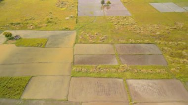 Chennai yakınlarındaki yeşil alanların manzaralı görüntüsü, Hindistan 'daki tarım alanının insansız hava aracı görüntüsü..