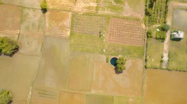 Chennai yakınlarındaki yeşil alanların manzaralı görüntüsü, Hindistan 'daki tarım alanının insansız hava aracı görüntüsü..