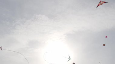 Hindistan 'da bir uçurtma festivali sırasında mavi gökyüzünde uçan uçurtmaların muhteşem görüntüsü..