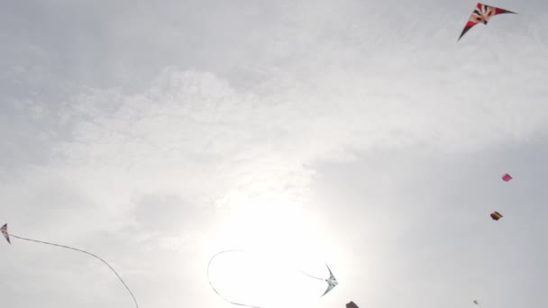 Vista Espetacular Pipas Voando Céu Azul Durante Festival Pipa Índia — Vídeo de Stock