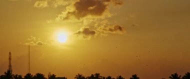 Gün batımında uçan kuşların yavaş çekim görüntüleri. Gökyüzünde turuncu bulutlar, turuncu gökyüzünde uçan kuşlarla gün batımı manzarası..