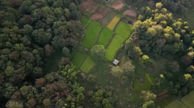 Yelagiri 'nin yemyeşil tarım arazilerinin havadan görünüşü, canlı kırsal manzarası Güney Hindistan.