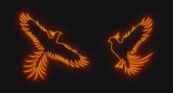 Siyah arka planda izole edilmiş kırmızı turuncu anka kuşunun neon çizgisi. Bir dizi vektör çizimleri