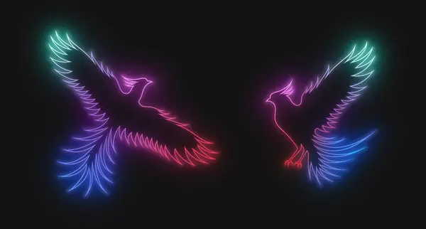Siyah arka planda izole edilmiş, kanatlı gökkuşağı çok renkli Phoenix 'in neon çizgisi. Bir dizi vektör çizimleri