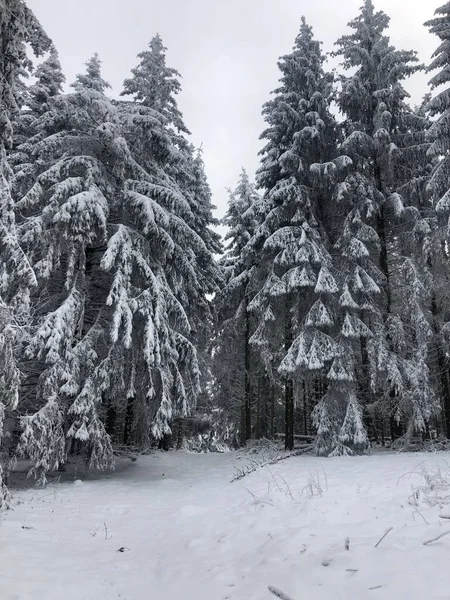Winterzauber Mit Viel Schnee — Stock Photo, Image