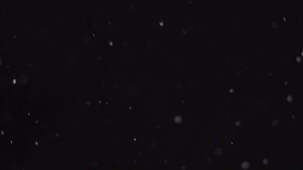 Śnieg Zimowy Spadający Śnieg Odizolowany Czarnym Tle Komponowania Grafika Ruchowa — Wideo stockowe