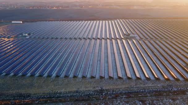 Drohnenaufnahme Großer Sonnenkollektoren Auf Einem Solarpark Bei Hellem Sonnenuntergang Frühen — Stockvideo