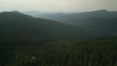 Bulutlu bir günde yeşil ormanın üzerinde uçarken ufukta parlayan bulutlarla dağların üzerinde. Karpat Dağları, Avrupa. 3k renk düzeltilmiş görüntü. Klasik Avrupa ormanlarının havadan görünüşü