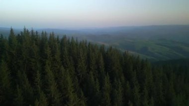 Bulutlu bir günde yeşil ormanın üzerinde uçarken ufukta parlayan bulutlarla dağların üzerinde. Karpat Dağları, Avrupa. 3k renk düzeltilmiş görüntü. Klasik Avrupa ormanlarının havadan görünüşü