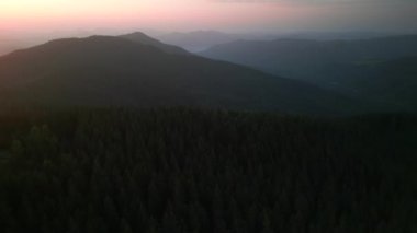 Bulutlu bir günde yeşil ormanın üzerinde uçarken ufukta parlayan bulutlarla dağların üzerinde. Karpat Dağları, Avrupa. 3k renk düzeltilmiş görüntü. Klasik Avrupa ormanlarının havadan görünüşü