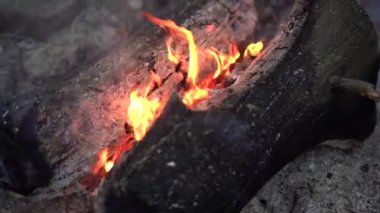 Ormanın dışındaki şenlik ateşi için odun yakmak için yakın çekim. Kamp ve dinlenme konsepti.