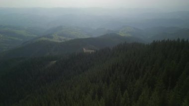 Bulutlu bir günde yeşil ormanın üzerinde uçarken ufukta parlayan bulutlarla dağların üzerinde. Karpat Dağları, Avrupa. 3k renk düzeltilmiş görüntü. Klasik Avrupa ormanlarının havadan görünüşü