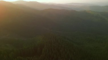 Bulutlu bir günde yeşil ormanın üzerinde uçarken ufukta parlayan bulutlarla dağların üzerinde. Karpat Dağları, Avrupa. 3k renk düzeltilmiş görüntü. Klasik Avrupa ormanlarının havadan görünüşü
