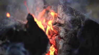 Ormanın dışındaki şenlik ateşi için odun yakmak için yakın çekim. Kamp ve dinlenme konsepti. El sıkışıyoruz..