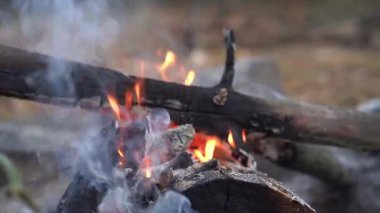 Ormanın dışındaki şenlik ateşi için odun yakmak için yakın çekim. Kamp ve dinlenme konsepti. El sıkışıyoruz..