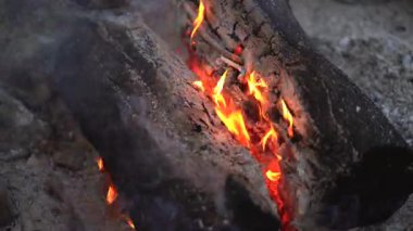 Ormanın dışındaki şenlik ateşi için odun yakmak için yakın çekim. Kamp ve dinlenme konsepti. El sıkışıyoruz..