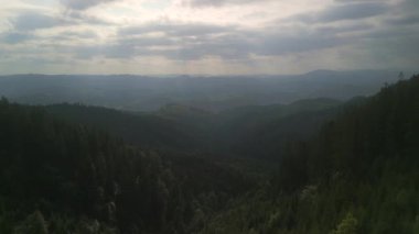 Bulutlu bir günde yeşil ormanın üzerinde uçarken ufukta parlayan bulutlarla dağların üzerinde. Karpat Dağları, Avrupa. 3k renk düzeltilmiş görüntü. Klasik Avrupa ormanlarının havadan görünüşü