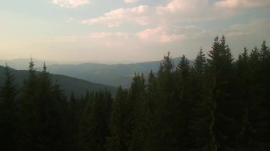 Yazın, güneşli bir günde, ufuk çizgisi parlak bulutlarla yeşil ormanın üzerinde uçmak. Karpat Dağları, Avrupa. 3k renk düzeltilmiş görüntü. Klasik Avrupa ormanlarının havadan görünüşü