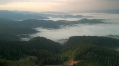 Yazın güneşli bir günde yeşil ormanın üzerinde uçarken ufukta parlayan bulutlar ve vadide sis vardı. Karpat Dağları, Avrupa. 4k renk düzeltilmiş görüntü. Klasik Avrupa ormanlarının havadan görünüşü