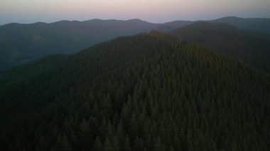 Bulutlu bir günde yeşil ormanın üzerinde uçarken ufukta parlayan bulutlarla dağların üzerinde. Karpat Dağları, Avrupa. 3k renk düzeltilmiş görüntü. Klasik Avrupa ormanlarının havadan görünüşü