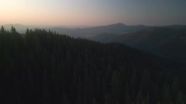 Bulutlu bir günde yeşil ormanın üzerinde uçarken ufukta parlayan bulutlarla dağların üzerinde. Karpat Dağları, Avrupa. 3k renk düzeltilmiş görüntü. Klasik Avrupa ormanlarının havadan görünüşü