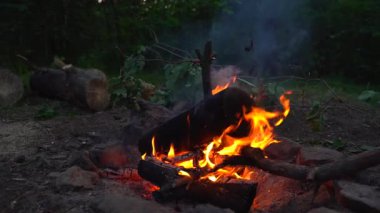 Yavaş çekim yakın çekim, ormanda şenlik ateşi için odun yakıyor. Kamp ve dinlenme konsepti. El sıkışıyoruz..