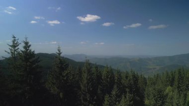 Bulutlu bir günde yeşil ormanın üzerinde uçarken ufukta parlayan bulutlarla dağların üzerinde. Karpat Dağları, Avrupa. 3k renk düzeltilmiş görüntü. Klasik Avrupa ormanlarının havadan görünüşü