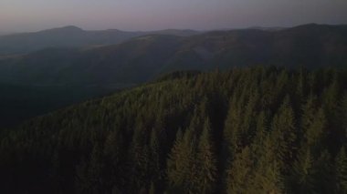 Bulutlu bir günde yeşil ormanın üzerinde uçarken ufukta parlayan bulutlarla dağların üzerinde. Karpat Dağları, Avrupa. 4k renk düzeltilmiş görüntü. Klasik Avrupa ormanlarının havadan görünüşü
