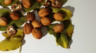 Yapraklı tam ceviz döndürme, beyaz arkaplan üzerinde kırpma yolu sert ışık gölgesi, üst görünüm, boşluk kopyala.