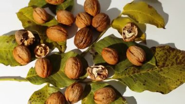 Yapraklı tam ceviz döndürme, beyaz arkaplan üzerinde kırpma yolu sert ışık gölgesi, üst görünüm, boşluk kopyala.