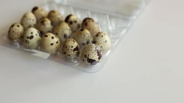 Rotação Caixa Papelão Com Ovos Codorna Fundo Branco Luz Solar — Vídeo de Stock