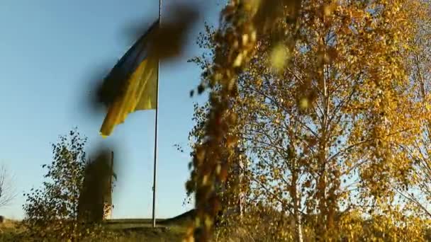 Grote Oekraïne Vlag Nationaal Symbool Zwaaien Wind Blauwe Lucht Herfst — Stockvideo