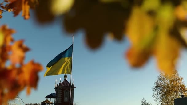 巨大的乌克兰国旗象征着在蓝天的风中飘扬 秋天的树叶 东欧各国爱国心乌克兰语蓝色象征旗 — 图库视频影像