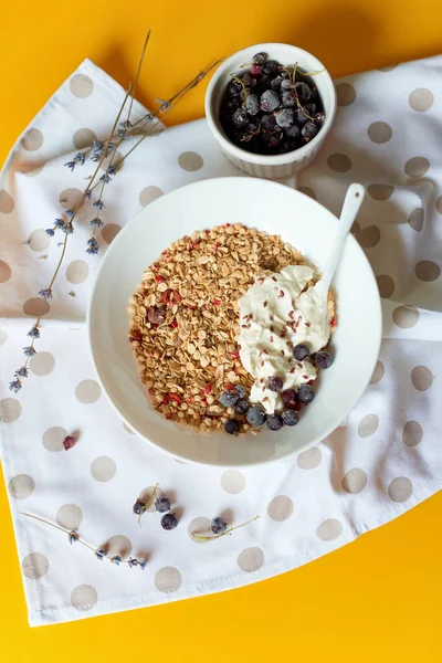 stock image Morning granola breakfast with greek yougurt and blueberry, Homemade oatmeal granola, healthy food.