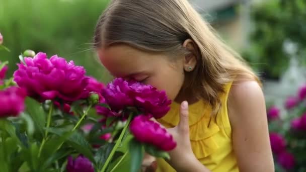 Mała Dziewczynka Ogrodzie Krzakach Piwonii Dziecko Powącha Kwiat Letni Wieczór — Wideo stockowe