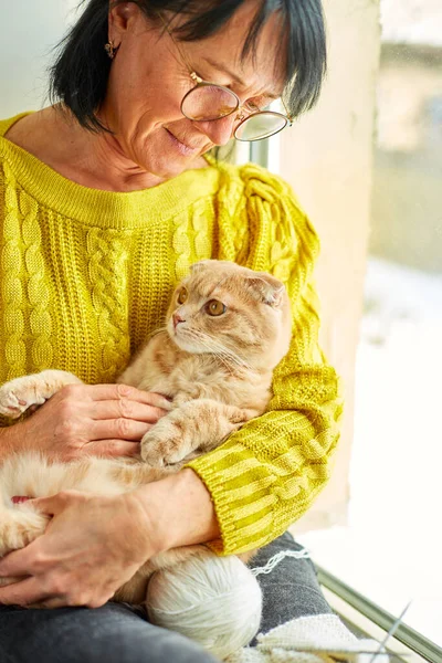 Mujer Madura Con Tejer Sosteniendo Lindo Gato Escocés Sentado Alféizar —  Fotos de Stock