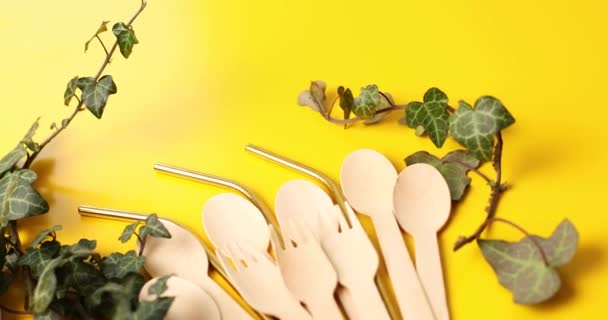Rotation Reusable Stainless Steel Straws Eco Wooden Spoons Green Leaves — 图库视频影像