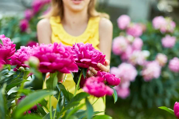 Little girl in the garden in bushes of peonies, child touch the flower, enjoying nature. Summer evening in the garden. Vacation in village.