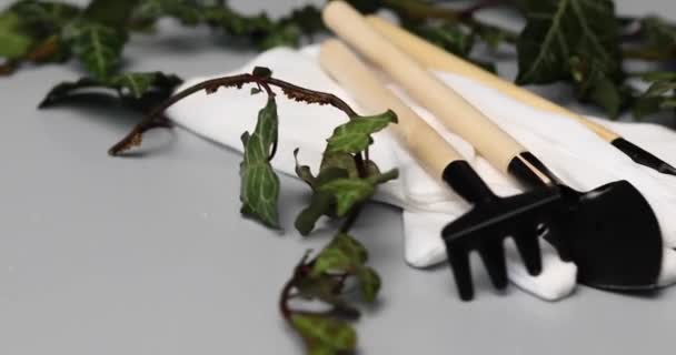 Rotation Gartengeräte Handschuhe Und Grüne Blätter Auf Grauem Hintergrund Frühjahrsgartenkonzept — Stockvideo
