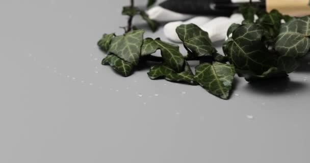 Инструменты Садоводства Перчатки Зеленые Листья Сером Фоне Весенний Сад Работает — стоковое видео