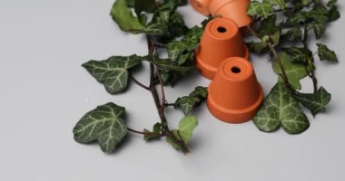 Döndürme Küçük seramik saksılar, eldivenler ve yeşil yapraklar gri arka planda, bahar bahçesi çalışma konsepti