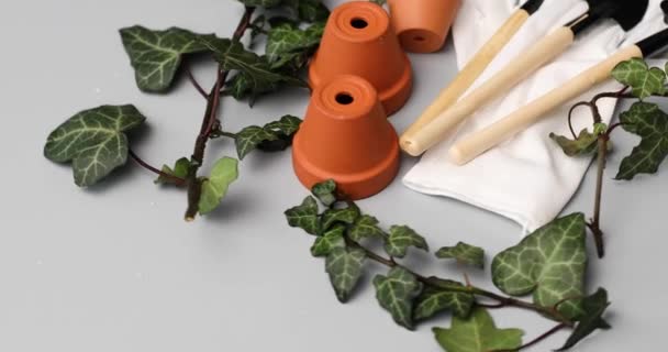 Rotation Małe Ceramiczne Doniczki Rękawice Narzędzia Ogrodnicze Zielone Liście Szarym — Wideo stockowe