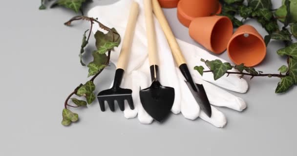 Rotation Kleine Keramik Blumentöpfe Handschuhe Gartengeräte Und Grüne Blätter Auf — Stockvideo