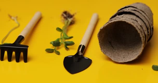 Rotation Peat Pots Gardening Tools Greens Yellow Background Spring Garden — Stock Video