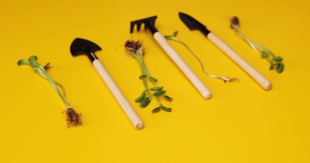 黄色背景下的轮作园艺工具与绿叶 春园艺业概念 — 图库视频影像