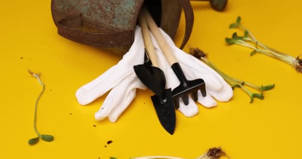 Rotation Gießkanne Gartengeräte Handschuhe Und Grünzeug Auf Gelbem Hintergrund Spring — Stockvideo