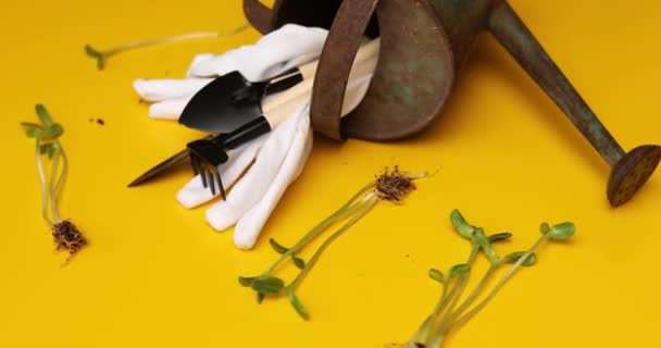 Rotation Gießkanne Gartengeräte Handschuhe Und Grünzeug Auf Gelbem Hintergrund Spring — Stockvideo