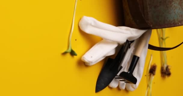 Obracanie Pionowe Wideo Podlewania Puszki Narzędzia Ogrodnicze Rękawice Zieleni Żółtym — Wideo stockowe