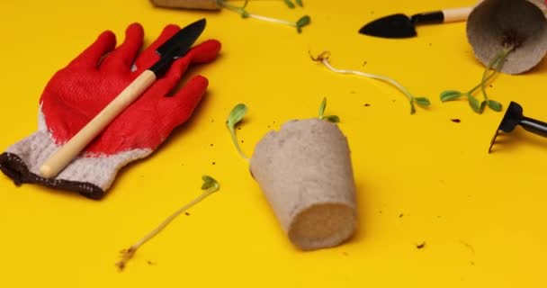 Rotationstorftöpfe Handschuhe Gartengeräte Und Grünzeug Auf Gelbem Hintergrund Frühjahrsgartenkonzept — Stockvideo
