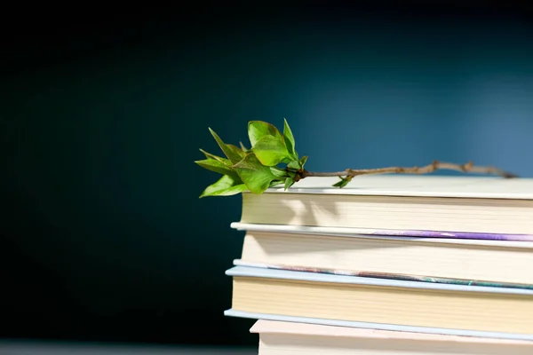 Stack of books with branch green leaves, World book day, knowledge and creativity concept, spring, summer mood, copy space, top view.